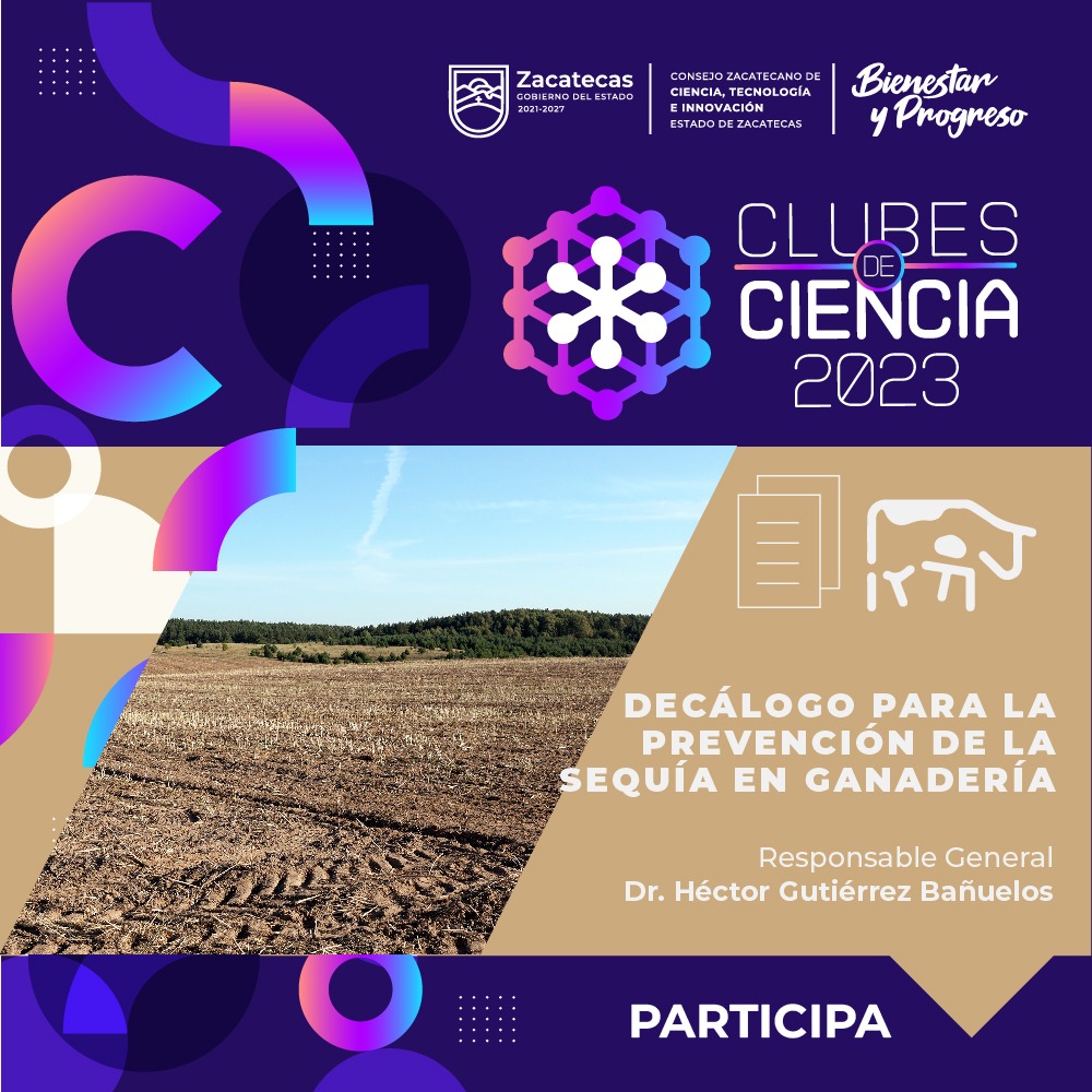 club1